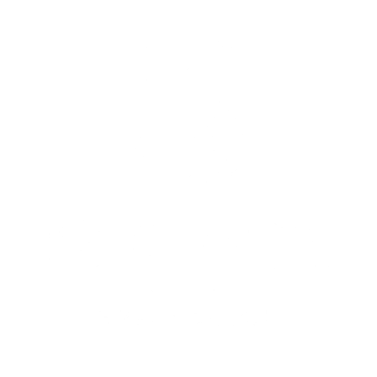 Sanz Spa Coach